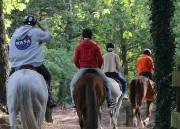 House 펜션 폰테베드라